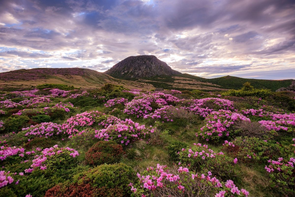 Photo: 류영하 / Korea Tourism Organization, KOGL Type 1